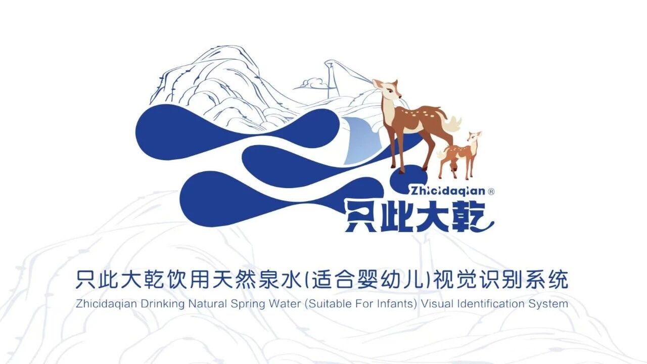 只此大乾LOGO+包装设计