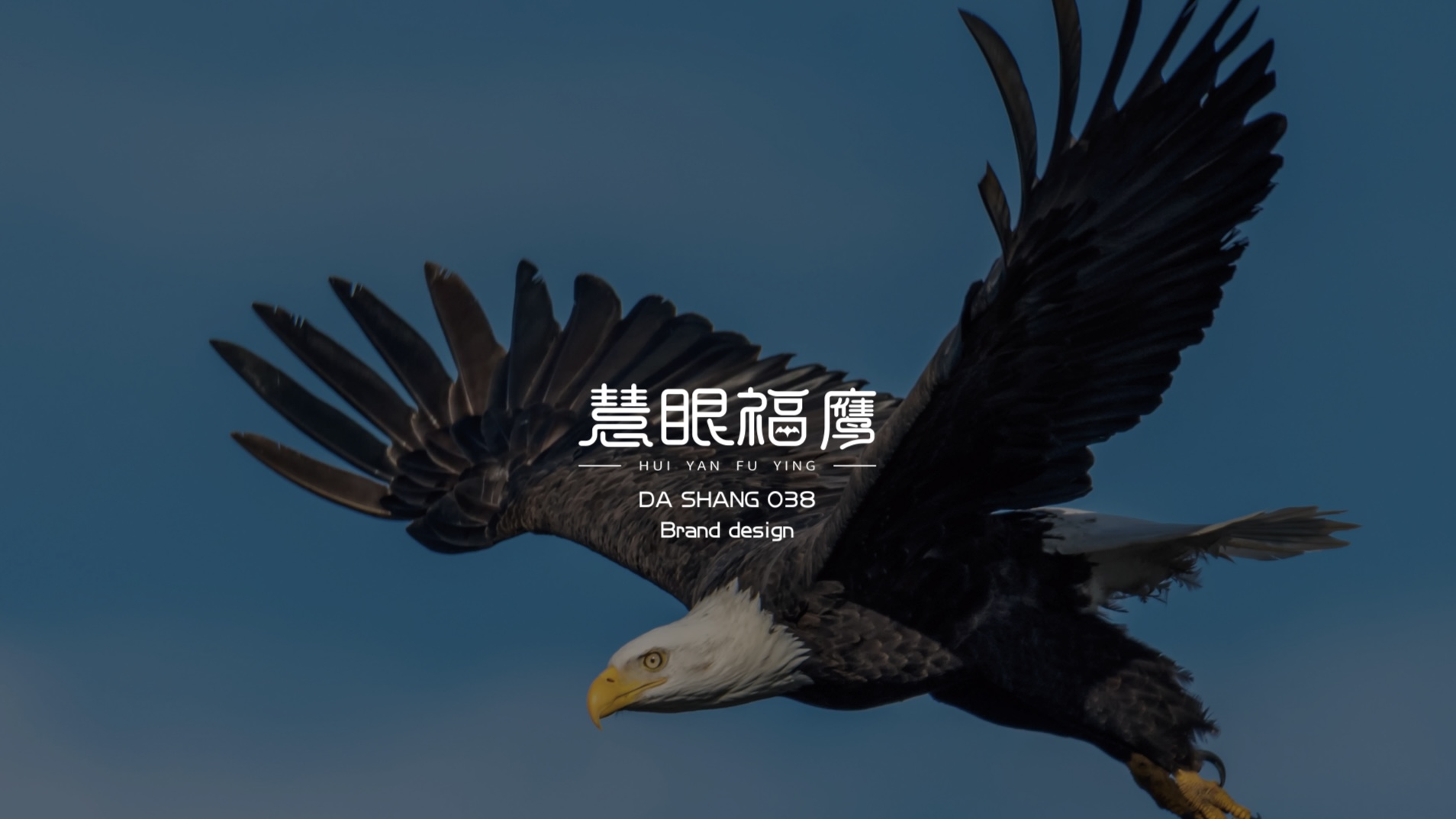 大商之魂038期慧眼福鹰班级VI视觉识别系统